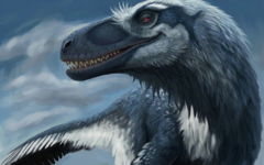 1775078879217.png 1775078879217.png