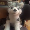 piperthedog