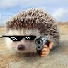OttoFritz44