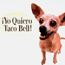 TacoDoggo