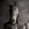 HorseSoul
