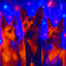 Max Shepherd
