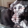 DuskLuck