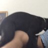 fuckvictoria