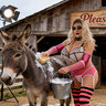 JuggsyBarnyard