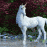 Mare Lover 1975