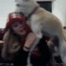 crazy_pira