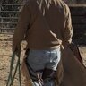 midwestcowpoke