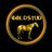 goldstudservices