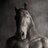 HorseSoul