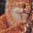 felinedyke