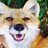 FoxForest