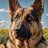 -GSD-