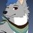 HuskyWolf77