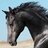 horseluv3r